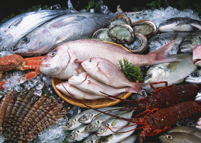 Những chợ hải sản ở Hạ Long tươi ngon, giá rẻ - Chợ hải sản Cái Dăm